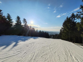 Apartmán PERLA 28, Říčky